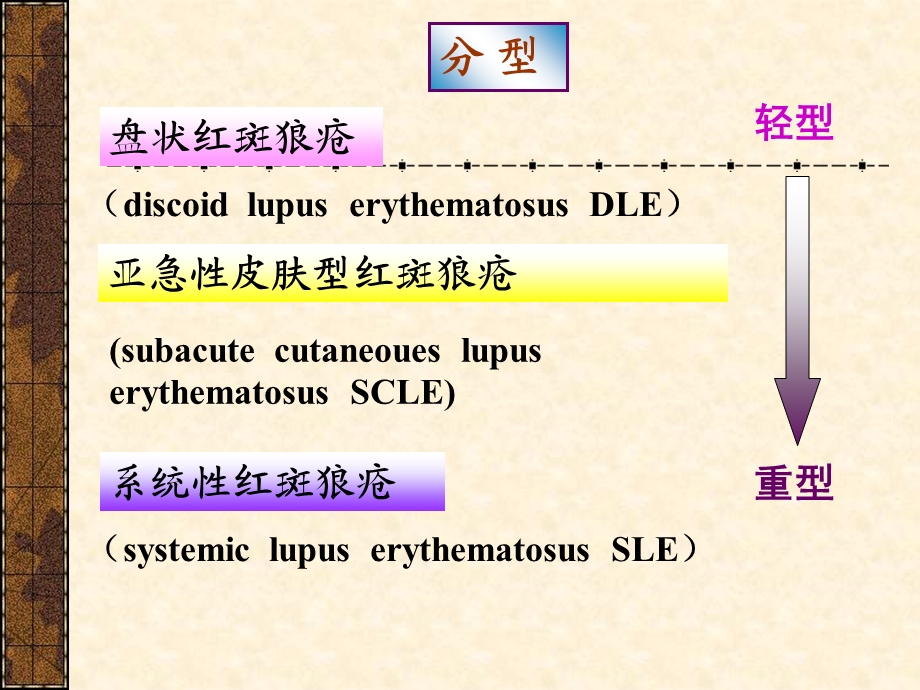 1022红斑狼疮精选文档文档资料.ppt_第3页