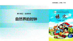 三年级下册语文课件10 走进科学 自然界的时钟∣长版 (共13张PPT).ppt