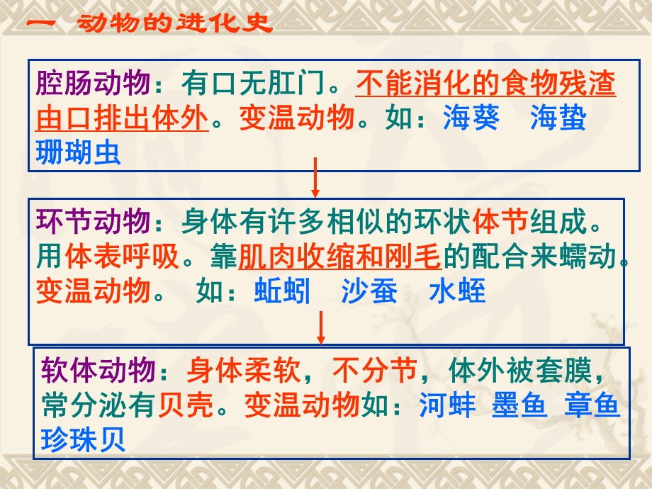 医学课件第五单元生物圈中的其他生物.ppt_第2页