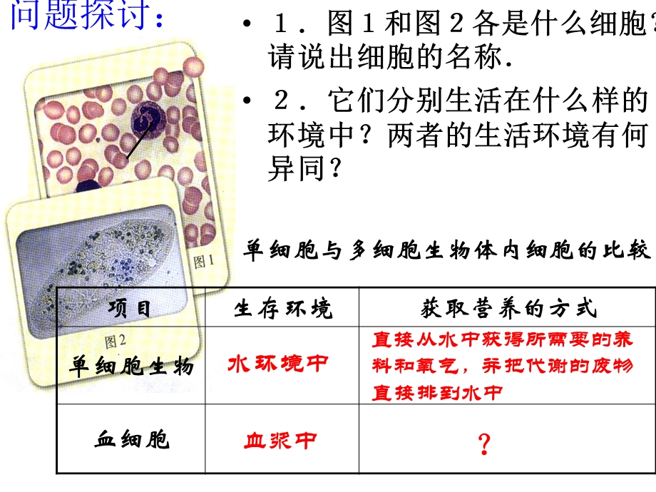 医学课件第一部分细胞生活的环境教学课件.ppt_第2页