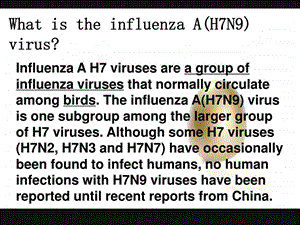 最新bird flu禽流感英语PPT介绍..ppt
