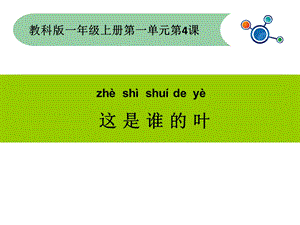 一年级上册科学课件1.4这是谁的叶13 l教科版 (共18张PPT)教学文档.ppt