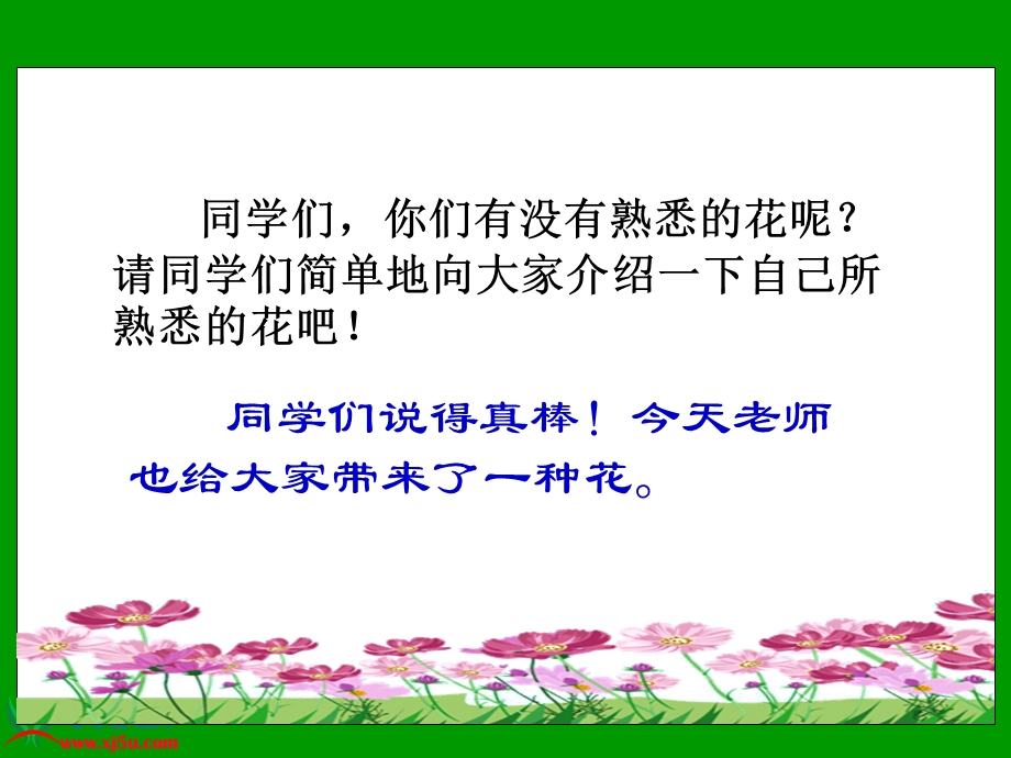 19夹竹桃(7)[精选文档].ppt_第1页