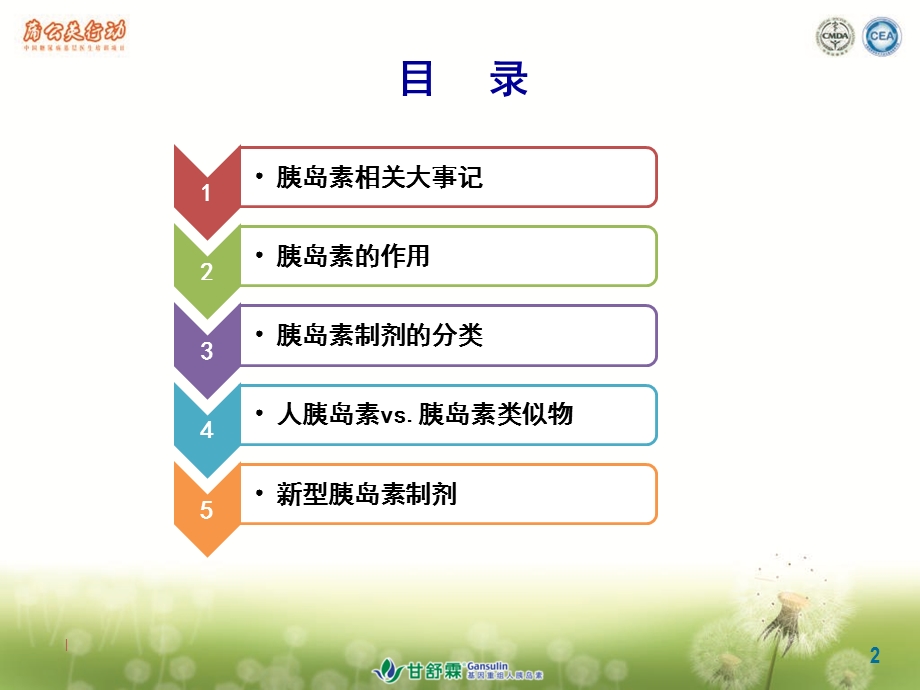 《胰岛素概论》PPT课件.ppt_第2页