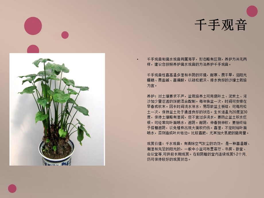 《花的养殖方法》PPT课件.ppt_第3页