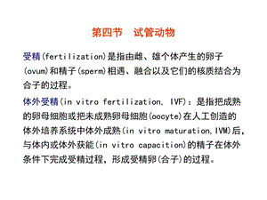 《试管动物》PPT课件.ppt