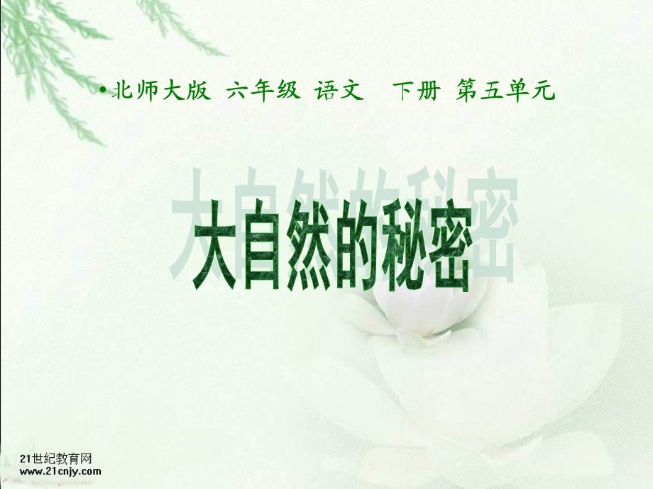 北师大版第十二册大自然的秘密PPT课件.ppt_第1页