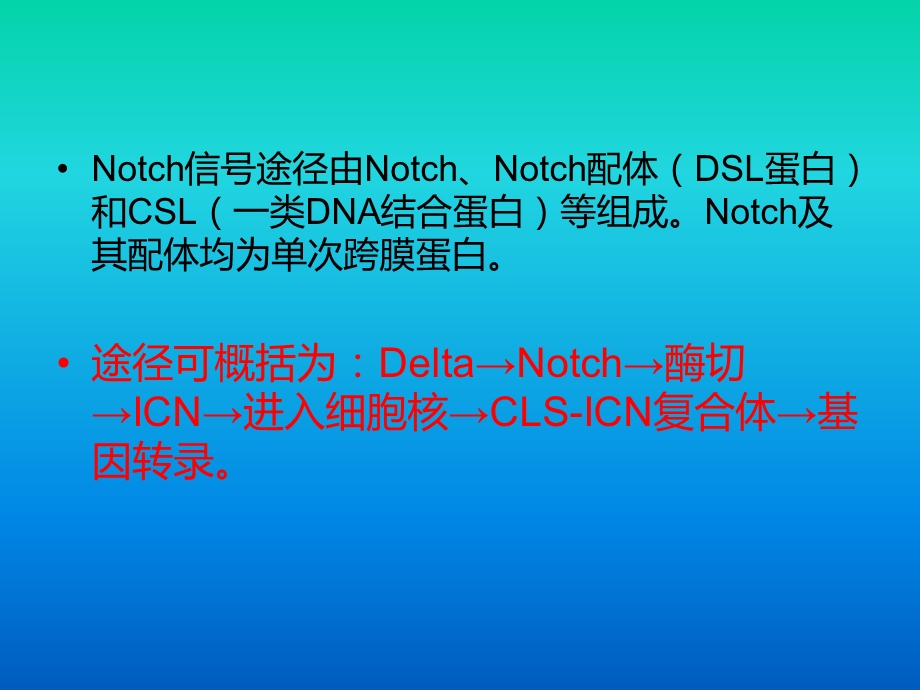 《otch信号通路》PPT课件.ppt_第3页