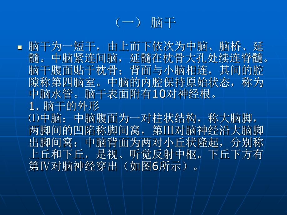 《脑部详细解剖图解》PPT课件.ppt_第3页