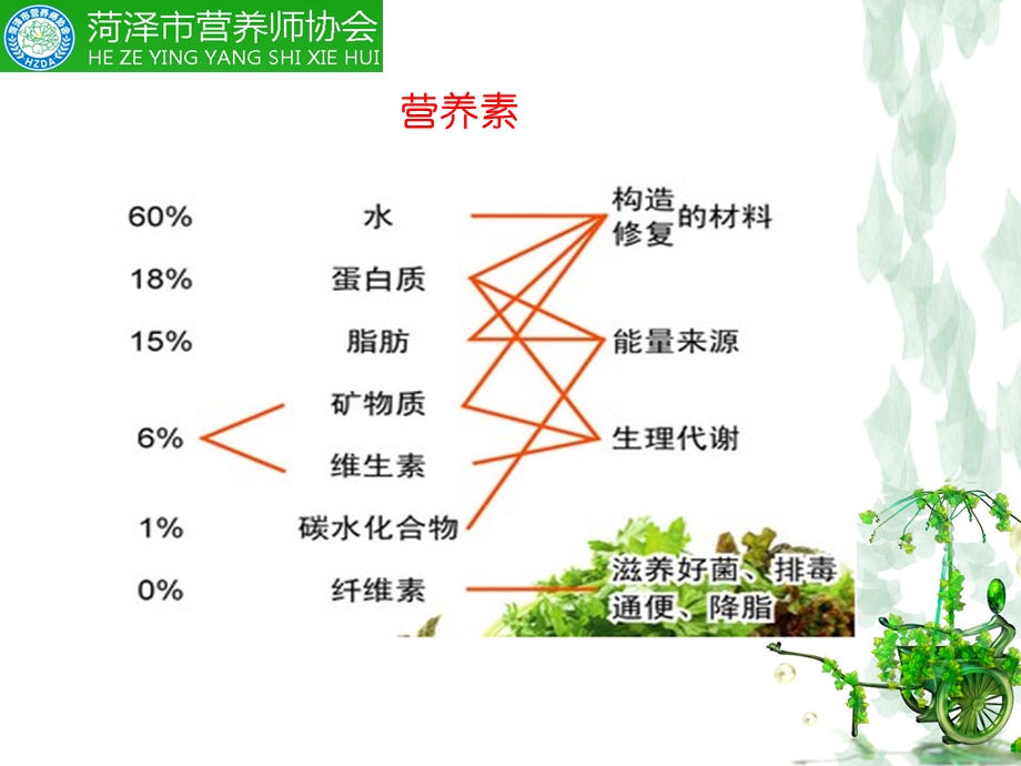 营养素笔记.ppt_第3页