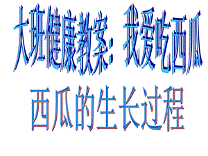 《西瓜的生长过程》PPT课件.ppt