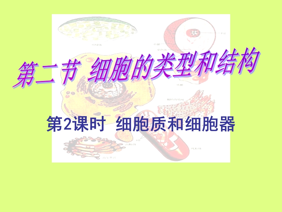 《定细胞质和细胞器》PPT课件.ppt_第1页