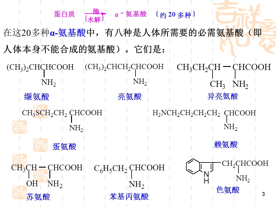 《氨基酸蛋白质》PPT课件.ppt_第3页