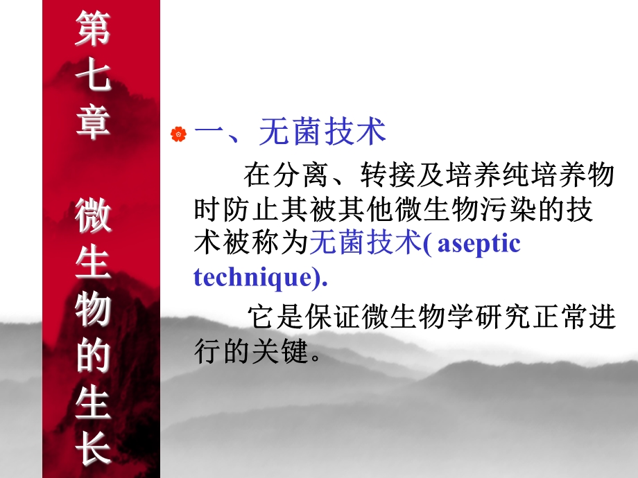 《生长与环境条》PPT课件.ppt_第3页