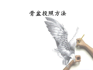 《骨盆位投照方法》PPT课件.ppt