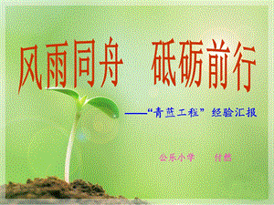 《青蓝工程》PPT课件.ppt