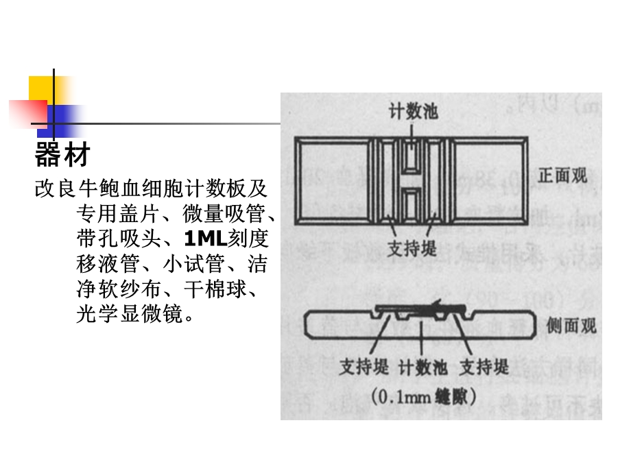 《白细胞计数》PPT课件.ppt_第3页