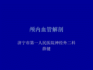 《颅内血管解剖》PPT课件.ppt