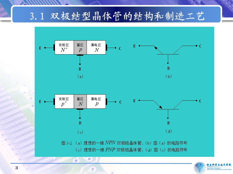 《BJT晶体管》PPT课件.ppt_第3页