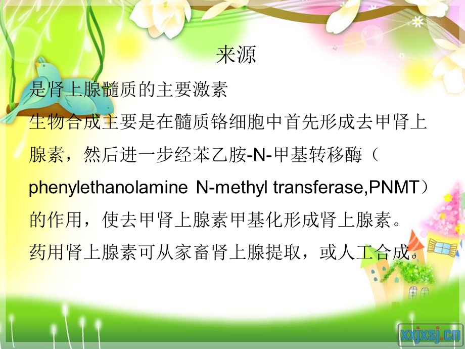 《肾上腺素的》PPT课件.ppt_第2页