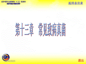 《常见致病真菌》PPT课件.ppt