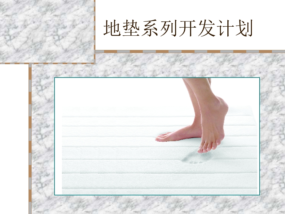 地垫系列开发计划书.ppt_第1页