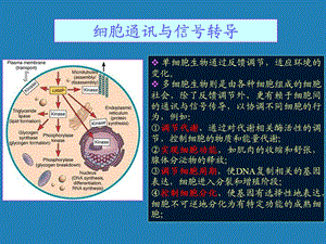 [信息与通信]信号转导.ppt