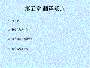 《翻译疑点》PPT课件.ppt