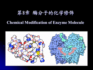 《酶分子化学修饰》PPT课件.ppt