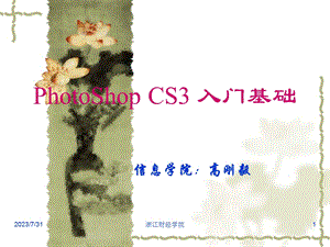 PhotoShopCS3入门基础.ppt