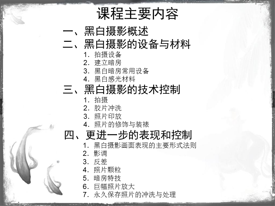 《黑白摄影》PPT课件.ppt_第2页