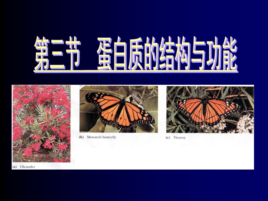 一级结构与功能的关系.ppt_第1页