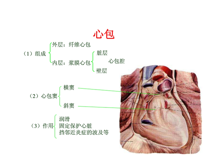 《件急性心包炎》PPT课件.ppt_第2页