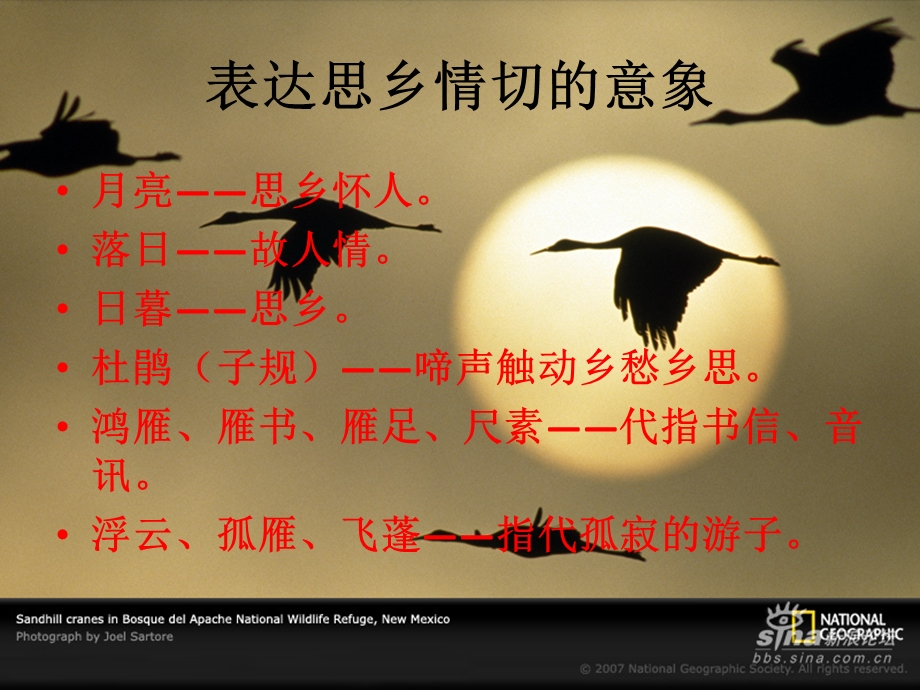 意象分类.ppt_第3页