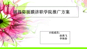 《面膜推广方案》PPT课件.ppt