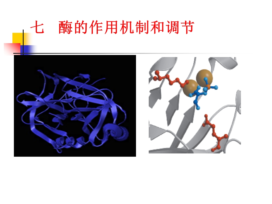 《酶作用机制》PPT课件.ppt_第1页