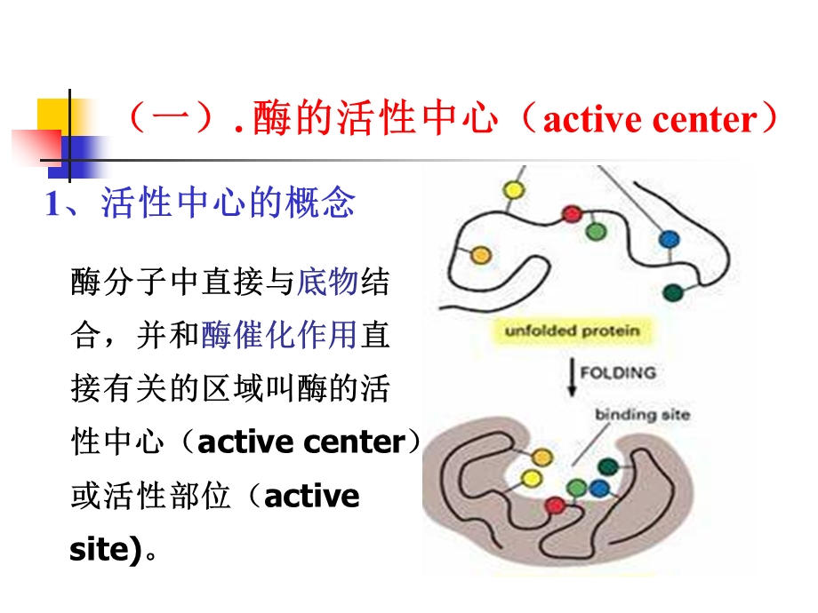 《酶作用机制》PPT课件.ppt_第2页