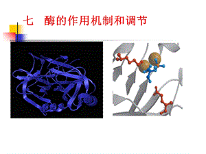 《酶作用机制》PPT课件.ppt