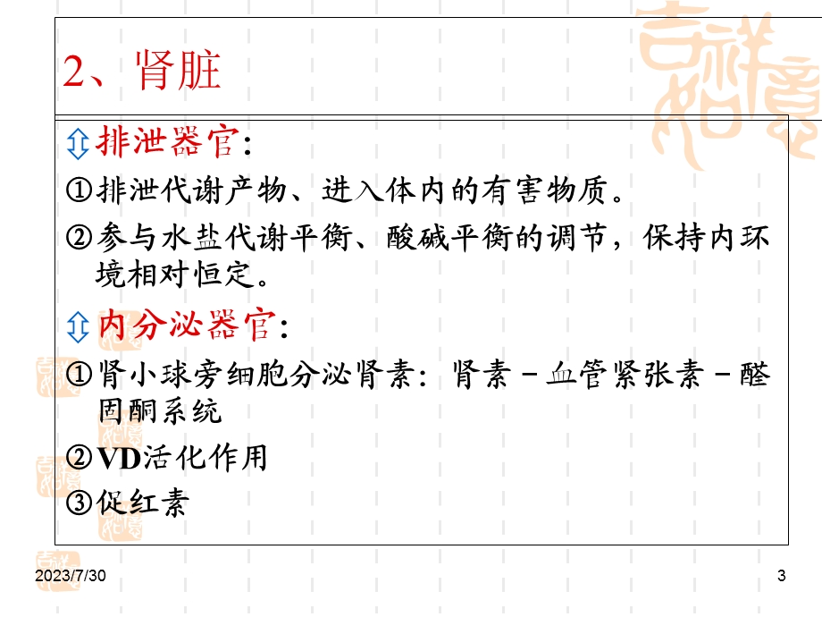 《泌尿器官疾病》PPT课件.ppt_第3页