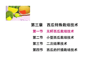 《西瓜病虫害防治》PPT课件.ppt