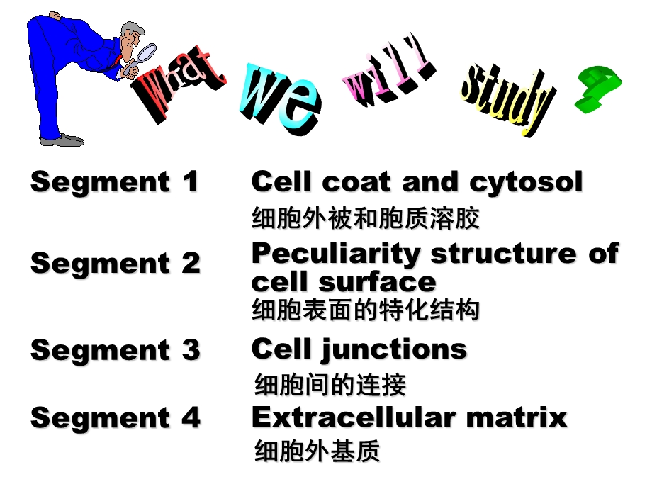 《表面特化》PPT课件.ppt_第3页