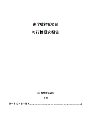 南宁镀锌板项目可行性研究报告.docx