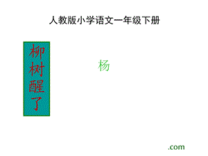 柳树醒了ppt课件.ppt