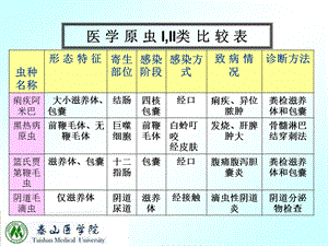 医学原虫3本科.ppt