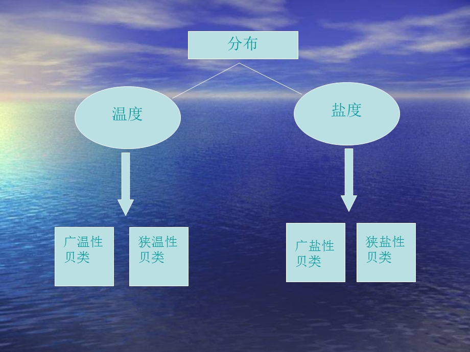 《贝类的生态》PPT课件.ppt_第2页