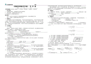 5.4眼睛和眼镜导学案.doc