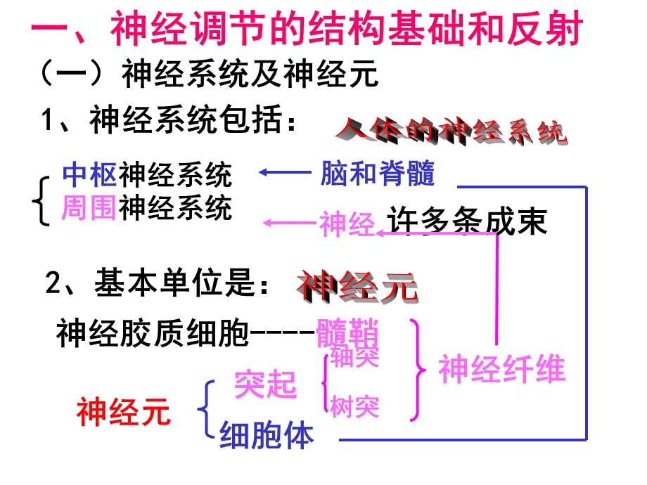 一神经系统及神经元.ppt_第2页