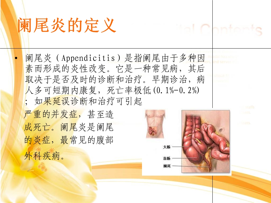 《阑尾炎护理》PPT课件.ppt_第3页