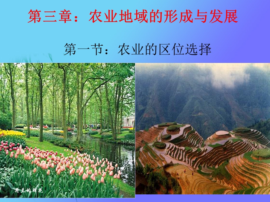 《业的区位选择》PPT课件.ppt_第2页