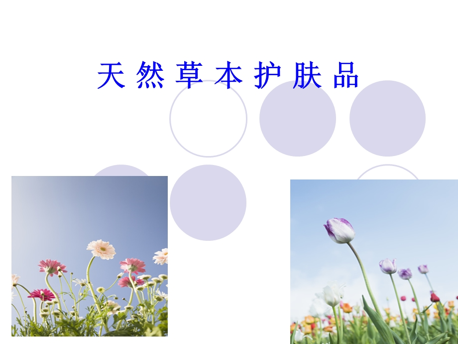 药妆与护肤(lu).ppt_第1页